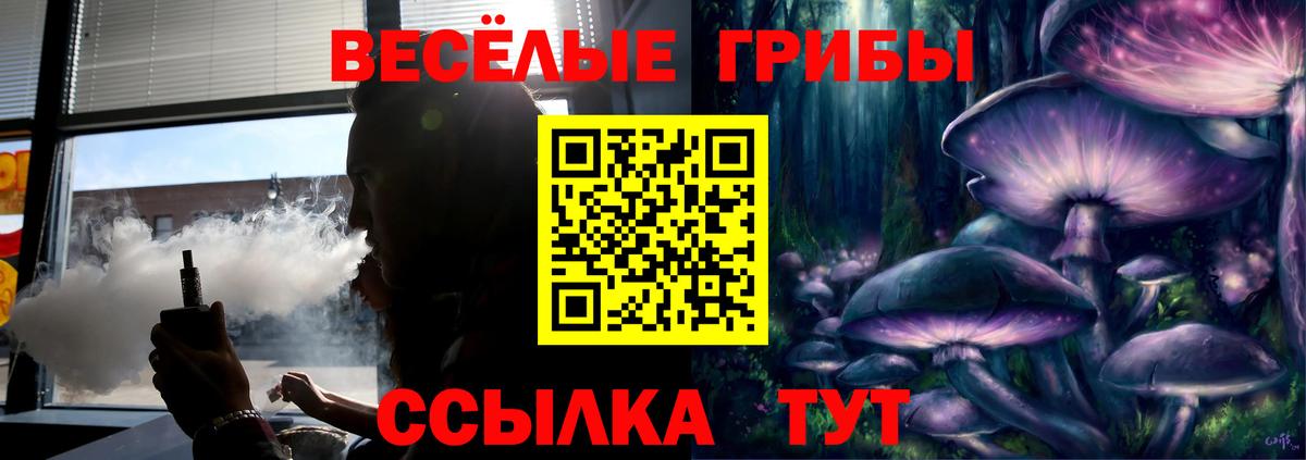 Псилоцибиновые грибы Psilocybine cubensis Тихорецк